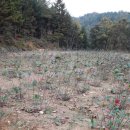 미소농장 이미지