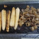 갈론계곡캠핑장 이미지