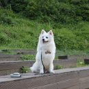 소공연장 이미지