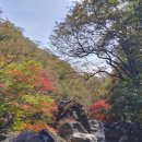 노고단-16 이미지