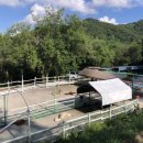 앞동산목장 이미지