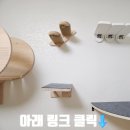 피스켄넬 | 고양이 선반 캣타워 조립 설치 대행 업체 가격 비용