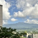 배부른생오리앤흑돼지 | 마지막 여름 휴가 제주도 가족 여행 Day 2 | 목장카페 밭디, F&amp;M 빈티지카페, 취향의섬 북앤띵즈, 제주곰집