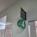 기흥구 보건소 산전검사 | 수원 시온 여성병원 산전검사 후기 | 예비부부 임신준비 검사