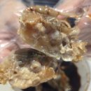 대구교육연수원 동아리실 | 대구 게장 맛집 유명한 곳 다 가보고 정착한 또또꽃게장 본리점 포장 후기
