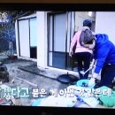 제주도 우리 큰집에서 TV 촬영이 있었어요. 이미지