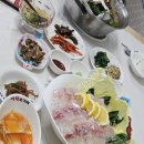 식도락포차 | 단양쏘가리 100년 전통의 손맛에 반한 우정여행 식도락 후기