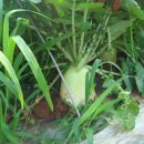 선화농원 이미지