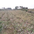 월령리사무소 이미지