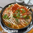 대전 둔산동 현지인 닭매운탕 맛집 내돈내산 웨이팅 후기ㅣ온유네닭매운탕
