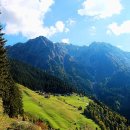 자연-이미지 이미지