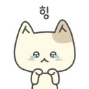 애니펫 동물병원 이미지