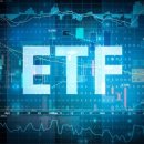 국내 및 해외 ETF 투자 이건 알고하자(인덱스펀드) 이미지