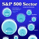 차트: S&P 500의 모든 부문에서 가장 큰 회사 이미지