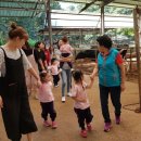 소우농장 이미지