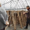 덕유자원 이미지