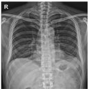날개병원 이미지
