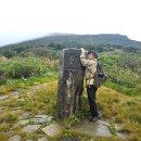 화대목장 이미지