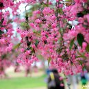 이두수 | 경기도 가볼만한곳-두물머리 주말 데이트 코스