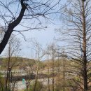 서인빌리지 앞 이미지