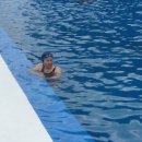 죠이타운 이미지