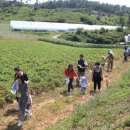 하누리마을 이미지