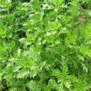 옥화 농장 이미지