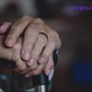 샤인빌 시니어스 너싱홈 이미지