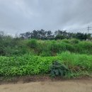 장안자동차병원 이미지