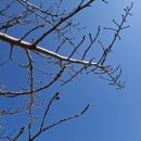 류진산업(주) 이미지