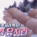 유나네 자연숲농장