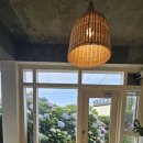(제주도여행) 미레이나, 제주도미레이나, 미레이나수국