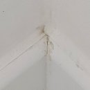 중앙앵글 - 성동구 동일로 73-1 | 중앙앵글