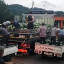 다도면복지센터 이미지