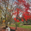 미가옥 | 전주한옥마을주변 미가옥, 금산사, 신양옥 찻집 방문 후기