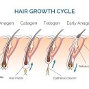 서정약국 이미지