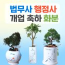 더채움 행정사사무소 | 법무사 행정사 개업 사무실에 특별한 축하 채움 화분