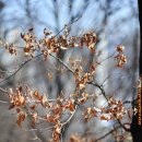 우면산3-23 이미지