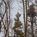 필봉산길 이미지