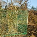 체리목장 이미지