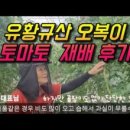 이복순농장 이미지