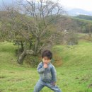 민재목장 이미지