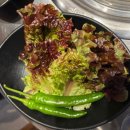 스타일독 | [종로·익선동 맛집] 분위기 좋은 고기집, 익선오도독 후기