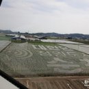 순천만 뜰 e-환경과조경