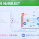 블루웰 이미지
