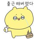 유가네닭갈비 이미지