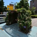 홍대입구역(경의중앙선) | [마포구/동교동]에일크루 피자펍 홍대점_경의선 숲길뷰 홍대 맛집