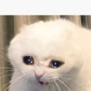 아줌마 세탁소 이미지