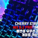 타협하고 싶지 않은 당신을 위한 TMR 8K 키보드 사용후기 [CHERRY XTRFY MX 8.2 PRO TMR 8K 에센셜 유무선]