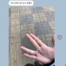 경기도 수원시 팔달구 세지로306번길 이미지